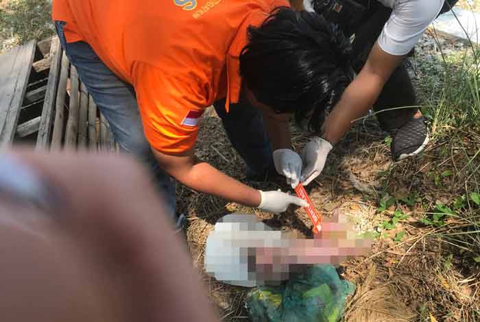 Mayat Bayi Baru Lahir Ditemukan Terbungkus Plastik di Mojoagung Jombang