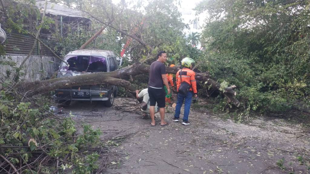 Pohon Tumbang Timpa 3 Mobil di Sekitar Makam Nasrani Sukun Kota Malang