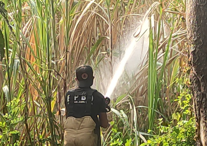 3 Hektare Lahan Tebu di Trowulan Mojokerto&nbsp;Kebakaran