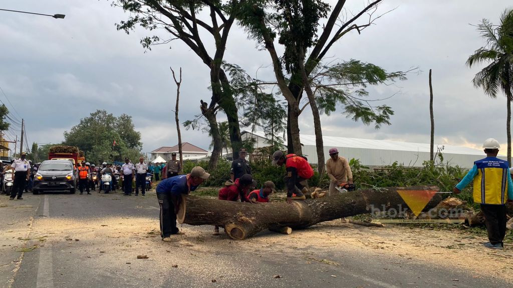 Pekerjaan Fisik Jalan Gondanglegi – Balekambang Mulai Digarap